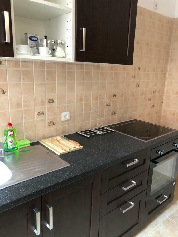 Old Historical Centre Apartment Braşov Dış mekan fotoğraf